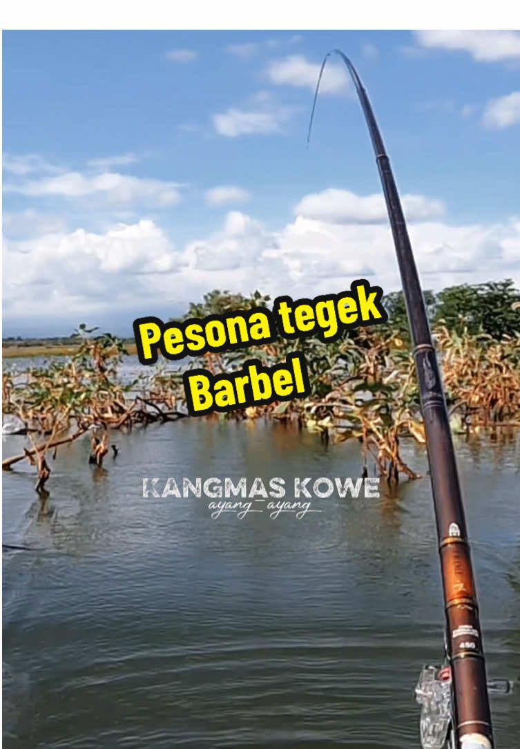 Nk digelar full rasane pehhh 💪🏻 #ayangayang #slowmo #mancing #mancingmania #mancingtiktokmania #mancingnyobok #fyp 