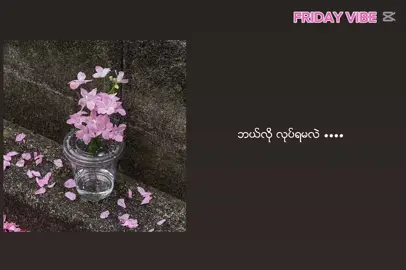 တကယ်ဆို လည်း အားလုံး ငါ့အပြစ်များပဲ 💘