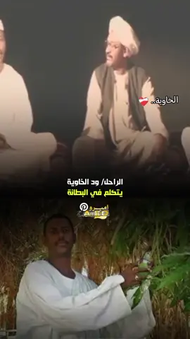 #مشاهير_تيك_توك #ترند_تيك_توك #الشعب_الصيني_ماله_حل😂😂 بطانة اب علي#زول قصص