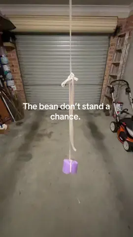 #bean 