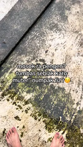 info seblak lek #fizrsunmorry #fizragstyle #temanggung24jam 