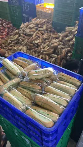 #fyp pabrik roti teguh karya bakery kota pontianak