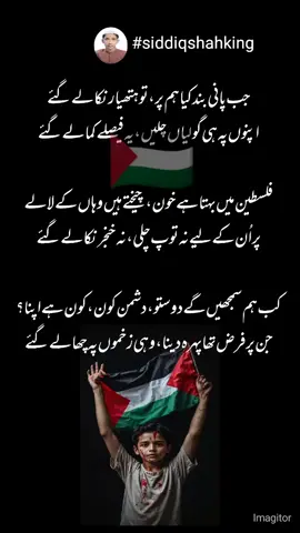 The Palestine poetry in Urdu @Siddiq Shah ⚓ #palestine #siddiqshahking