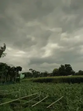 #বিকালে ওয়েদার টা কি সুন্দর,,🫶❤️‍🩹 ‌ ‌ ,, #foryoupageofficiall #vairalvideo  #vairalvideo #foryoupage #vairal  #foryoupage❤️❤️ #vairal_video_tiktok  #vairal_video_tiktok 🫶❤️‍🩹