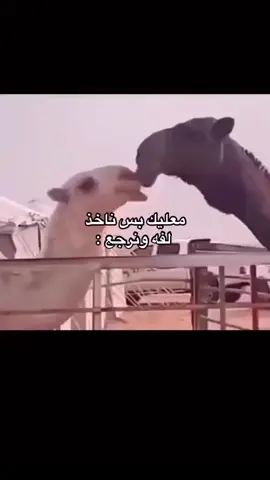 هههههههههههههههههههههههههههههههههههههههههههههههههههههههههههههههههههههههههههههه 