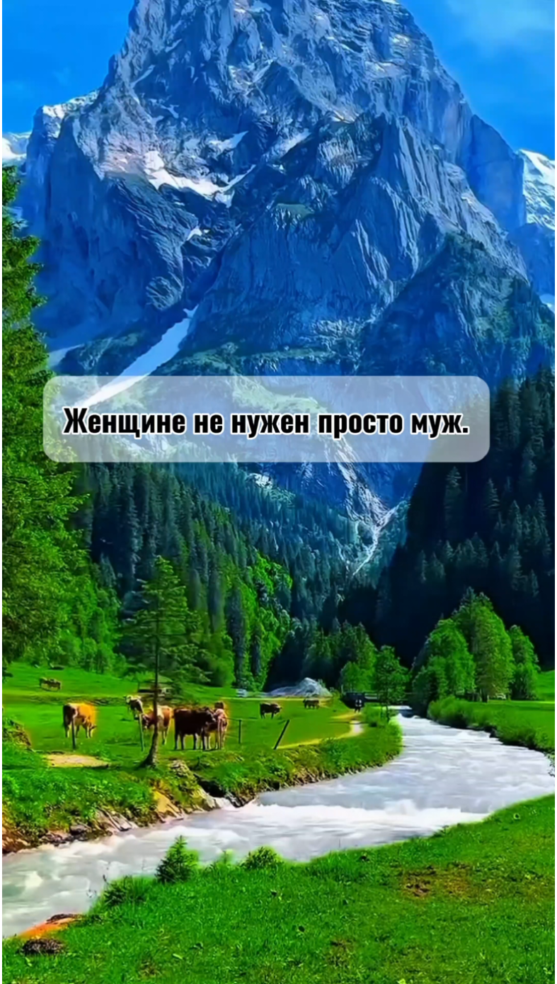 Согласны?🤔#отношения #психология #психологияотношений #женщина #мужчина #семья #забота #мудрость #проблемы #родные #любовь❤ #tiktok #fyp 