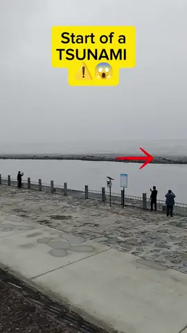 If you see that run away ⚠️😱☠️ #danger #tsunami #nature #water #dangerous #waves #ocean #sea #terrifying 