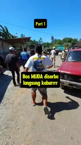 #BOSS MUDA DATANG LANGSUNG DI SERBU🤣🤣
