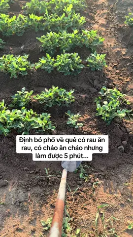 Mới ngày nghỉ lễ thứ 3 đã thở bằng mồm rồi 😭