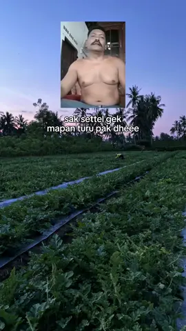 gek age cah🤪 #petani #petanisemangka🍉🍉 #petanimudasukses #petaniindonesia🇮🇩🇮🇩🇮🇩🌿🌿 #bwi24jam #fyppppppppppppppppppppppp  