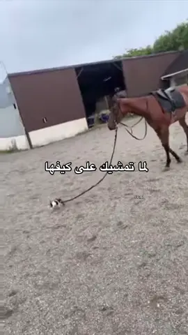 #اكسبلور #اكسبلورر #fyp #مالي_خلق_احط_هاشتاقات #ميمز #ضحك #الشعب_الصيني_ماله_حل😂😂 #pov 