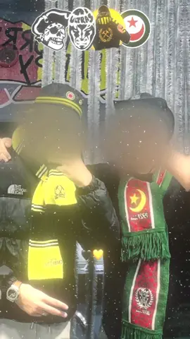 combattiva × virage sud ❤️💚💛🖤 #فيراج_سود_مولوديان🇮🇹📸 #mouloudia_virage_sud🇮🇹🙏 #شعب_الصيني_ماله_حل😂😂 #مولودية🇧🇬🇧🇬_نعشق_فيهااا💚 #mouloudia_virage_sud #usmh #usmh_ma_vie #combattiva #combattiva🖤⚒️💛جيل 