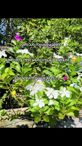 အသွင်တူတော့ အိမ်သူဖစ်တာနေမှာပေါ့😹💗 #tiktok @K #foryoupage #fyppp #views #foryou #fypシ #tiktokmyanmar🇲🇲 #fyppppppppppppppppppppppp 