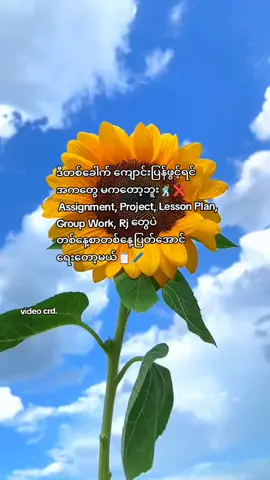 တကယ်ပါနော် ယုံချင်ယုံမယုံချင်နေ 