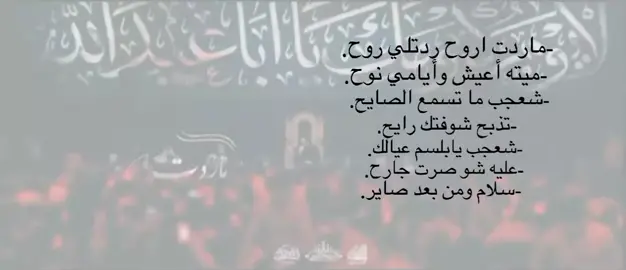 شعجب ما تسمع الصايح||سيد سلام الحسيني#تصميمي #اهل_البيت_عليهم_سلام #الصلاة_على_النبى 