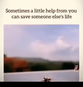 Deep Truths On Psychology & Life #psychology #life #fyp #fypシ #foryoupageofficiall 