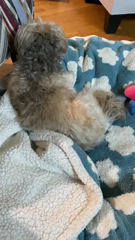 😳 