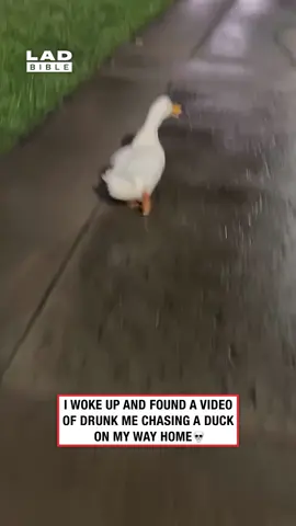 How I run in my dreams 🤣 (🎥: Collab) #ladbible #funnyvideos😂 #drunktok #ducksoftiktok #animals #nightbefore