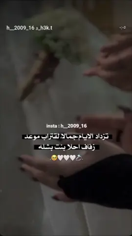 #مجرد________ذووووووق🎶🎵💞 #تصميم_فيديوهات🎶🎤🎬 #عرس_البيست_فريند #@ʀ #جيش_نهى_عسل🍯 #تفاعلكم #ستورياتي🎼 #مالي_خلق_احط_هاشتاقات 