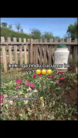 huftt… rinduu kakekk 🫂😞  #kakek #sayangkakek #4u #xybca #lewatberandafyp #fujian 