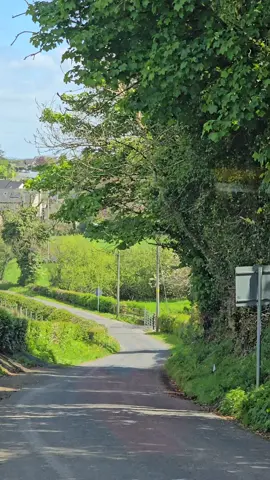 Beautiful Irish Summer #beauty #nature #ireland #unitedkingdom #khatamenabuwat #trendingvideo #imrankhan #pti #Pakistan #khajulment #fyp 