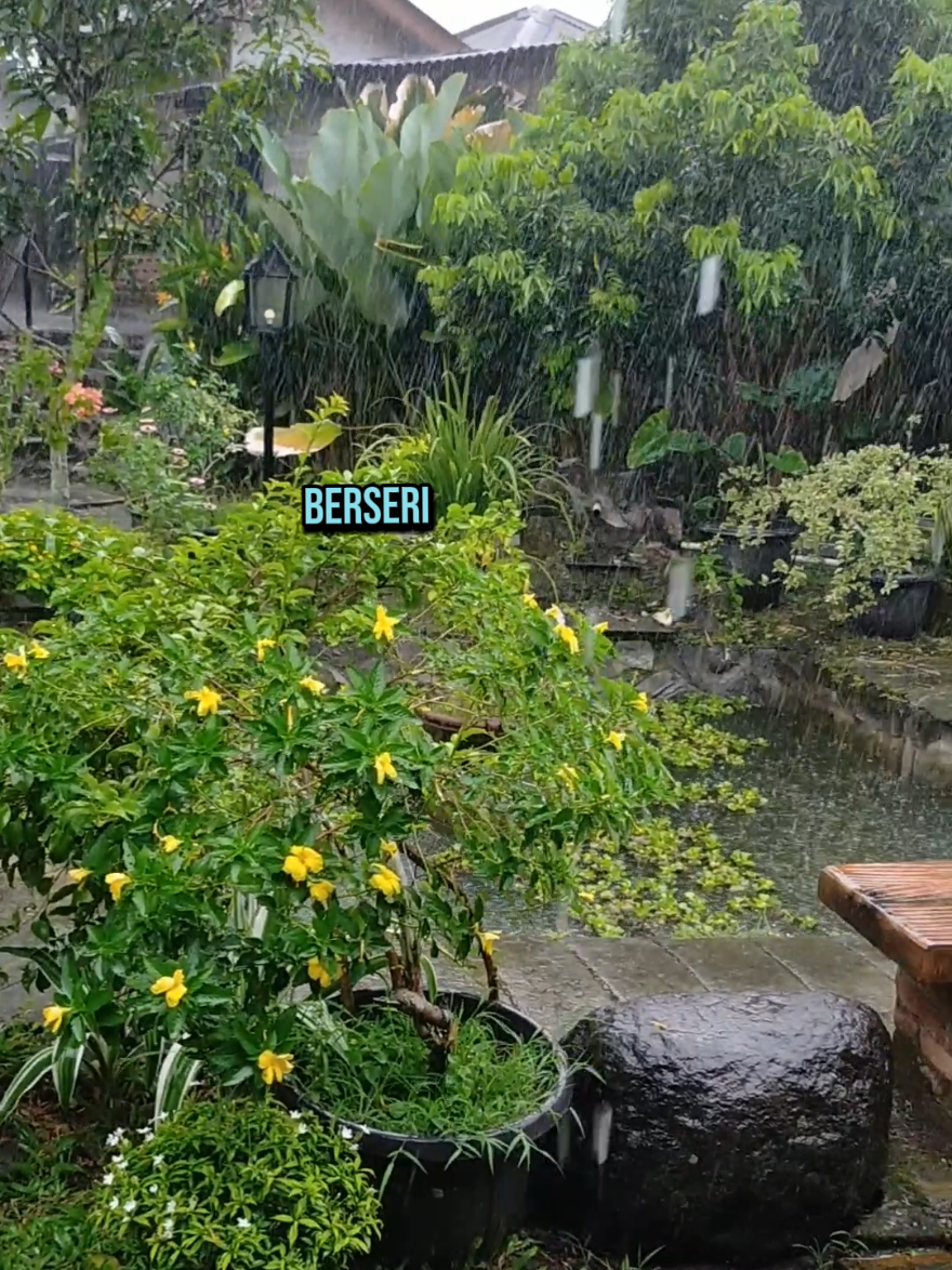 Tanpa engkau hidupku sepi..... #lagujadul  #nostalgia  #tembangkenangan  #lagulawas 