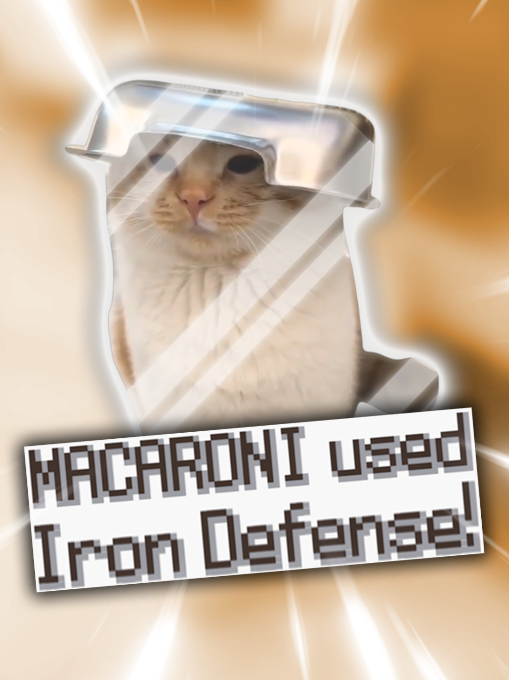 Macaroni used Iron Defense! #pokemon #pokemontiktok #nintendo #catmeme #pokemonedit #gamingmemes #catsoftiktok #nintendods #nostalgia #pokemongo #gaming #funnycata (Diamond and Pearl HP bars sprites ripped by Space Guard, Textbox sprites ripped by Lakilester 86)