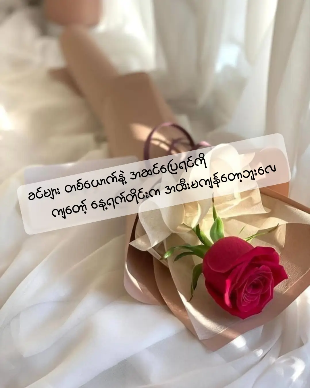 အထီးကျန်တယ် မကျန်ဘူးဆိုတာကလေ ကိုယ့်ဘေးနားမှာ လူ ဘယ်နှယောက်ရှိနေသလဲဆိုတဲ့ အရေအတွက်တွေနဲ့ မဆိုင်ဘူး ကိုယ့်ကို လူဘယ်နှယောက်က ဂရုတစိုက်ရှိသလဲဆိုတာနဲ့ပဲ သက်ဆိုင်တယ် အခန်းကျဥ်းလေးထဲမှာထိုင်ရင်း ကိုယ့်ကို တန်ဖိုးထားတဲ့ လူတစ်ယောက်နဲ့ ဖုန်းလေးပြောနေရရင် အထီးကျန်လိုက်တာဆိုပြီး ယောင်လို့တောင် မတွေးမိတဲ့ ရက်တွေ ရှိခဲ့ဖူးသလို လူအများကြီးကြားမှာရပ်နေရင်း ဘယ်သူကမှ ကိုယ်ရှိနေမှန်းတောင် သတိရမနေတဲ့အခါ အဲ့ဒီအရပ်မှာ ပျော်အောင် နေဖို့ တကယ်ပဲ ခက်ပါတယ် ပြောချင်တာက ဗျာ ... ဘ၀မှာ ပျော်အောင်နေတတ်ဖို့ဆို တခြား ဘယ်သူ့မှမလိုဘူး မင်းရှိနေပေးရင် မင်း ဂရုစိုက်နေပေးရင် အဆင်ပြေပါပြီ ။ #ကျေးကို #ရောက်ချင်တဲ့နေရာရောက်👌 #စာတိုcrd #myanmartiktok🇲🇲🇲🇲 