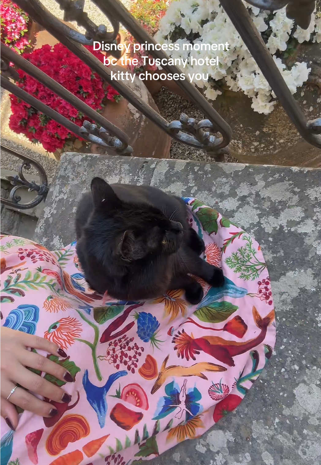 Birds chirping, kitty laying on my dress, 78 degrees sipping wine by the pool #italytravel #tuscany #chianti #kittycatsoftiktok #blackcat #blackcatsoftiktok 