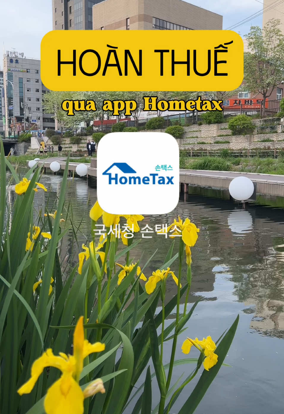 Hoàn thuế vão mỗi tháng 5 ở Hàn Quốc, bạn có quên không? 😀 Kem dưỡng mình dùng trong clip là của nhà Klairs nha! Dưỡng ẩm tốt và không nhờn da, dùng ban đêm siêu mê 💜 #cuocsonghanquoc #dailyvlog #klairs #midnightbluecalmingcream #wishtrendvn #dearklairs 