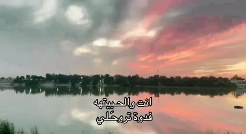 فدوات تروحَـلي 😮‍💨👍🏻.                               #iraq #مشاهدات_تيك_توك 