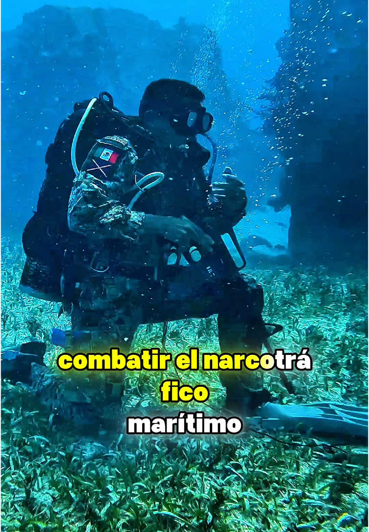 #MarinaMexicana #OrgulloMexicano #FuerzasArmadasMX #EntrenamientoMilitar #InfanteríaDeMarina #FuerzasEspeciales #EntrenamientoExtremo #VidaMilitar #DisciplinaTotal #SoldadoMexicano #HonorYLealtad #MotivacionMilitar #MentalidadDeAcero #DuroPeroJusto #SuperaciónPersonal Hashtags específicos para México: #OrgulloMexicano #MéxicoUnido #HechoEnMéxico #MarinosMexicanos #FuerzasArmadasMX #SoyMexicano #ApoyoALaMarina Hashtags de tendencia en TikTok (para ampliar el alcance): #ParaTi #FYP #Viral #HistoriasReales #IncreíblePeroCierto #LoQueNoSabías #TienesQueVerEsto #DocumentalTikTok