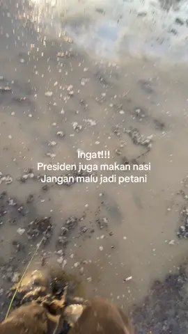 #fyp #indonesia #story #sulawesi 