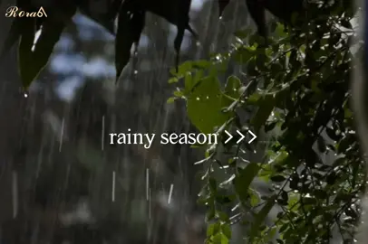 fav season>> #flyp #flyyyyyyyyyyyyy 