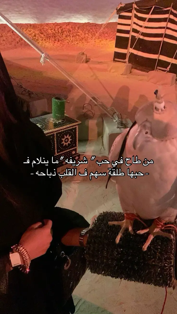 #السعب_الصيني_ماله_حل😂😂😂 #الشعب_الصيني_ماله_حل #explore #اكسبلور #الاشراف_احفاد_الرسول 