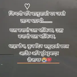 #CapCut 