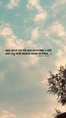 আর কোনো শখ নাই! আর কোনো ইচ্ছা ও নাই! এখন শুধু আছি আল্লাহর ডাকের অপেক্ষায়! 🙂