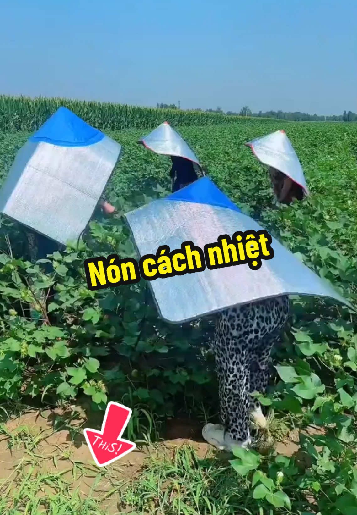 Nón cách nhiệt#noncachnhiet #noncachnhietdinang #giadungtienloi #xuhuong #2025  @Cô hà nhà cửa  @Cô hà nhà cửa  @Cô hà nhà cửa 