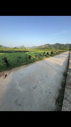 🇻🇳#xuhuongtiktok #xh #dieusao #dieusaovietnam #sáođànbò #dieumebongcon #trend 