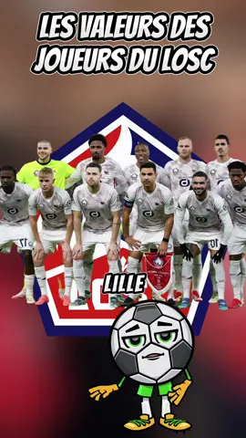 Les valeurs marchandes des joueurs du LOSC. La valeur sur le marché des transferts des lillois. L'argent dans le football. Source : Transfermarkt.fr #losc #transfermarkt #lilleosc 