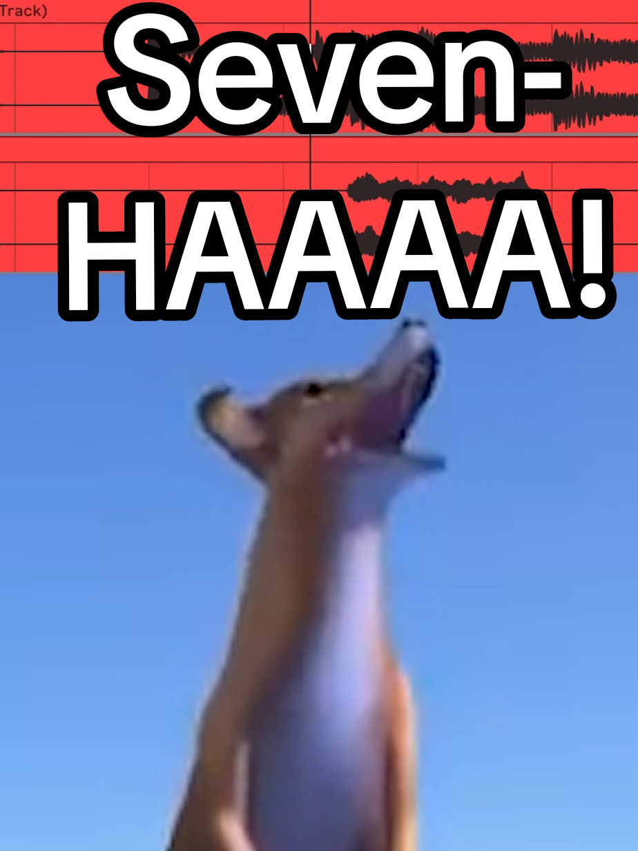 Hot by Seventeen 🐶🥵 . . . . #hot #seventeen #seventeen17_official #seventeen세븐틴 #kpop #dogofwisdom #fyp #fypシ #newsound #memes #newsound 