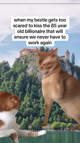 #CapCut 