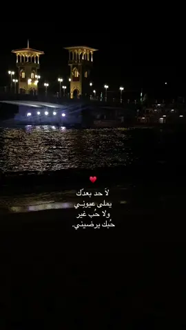 ولا حُب غير حُبك يرضيني♥️🌍 #فوريو #فوريو #fyp #foryoupage #foryou #videoviral #romance #alex #see #بحر #رومانسي #ميادة_الحناوي #قديم #شهره #فولو #اسكندريه #m #م #حنين#تصويري #تصميمي #علا #تريند #trending #explore #fy 