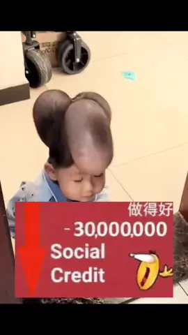 #fyp #meme #china#usa
