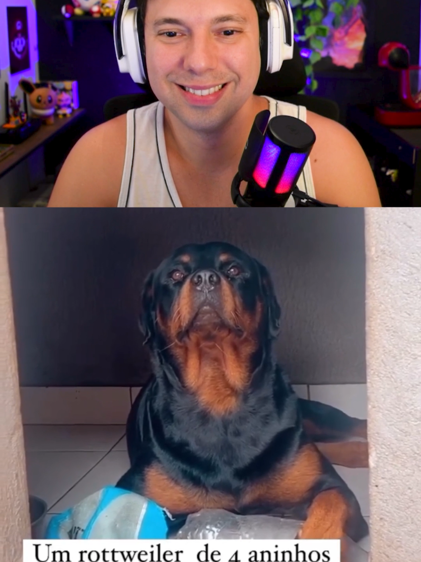 Se juntar ele e a Babi valha minha nossa senhora 😂🐶 . #react #humor #comentarios 