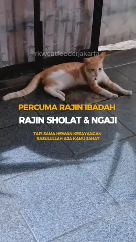 Percuma kamu rajin ibadah dan rajin sholat, tapi sama hewan kesayangan Rasulullah (kucing) aja kamu masih jahat banget. Karena ketika kita baik dan jahat sama kucing, dia akan langsung berdoa sama Allah dan doa dia itu langsung tembus ke langit loh 🥰 Yuk, mulai sekarang kita sama2 peduli dan jangan jahat lagi sama kucing 🥰 #hewankesayanganrosulullah #sayangikucing #sayangikucingjalanan #pedulikucingjalanan #pedulikucing #rkwcatfeederjakarta 