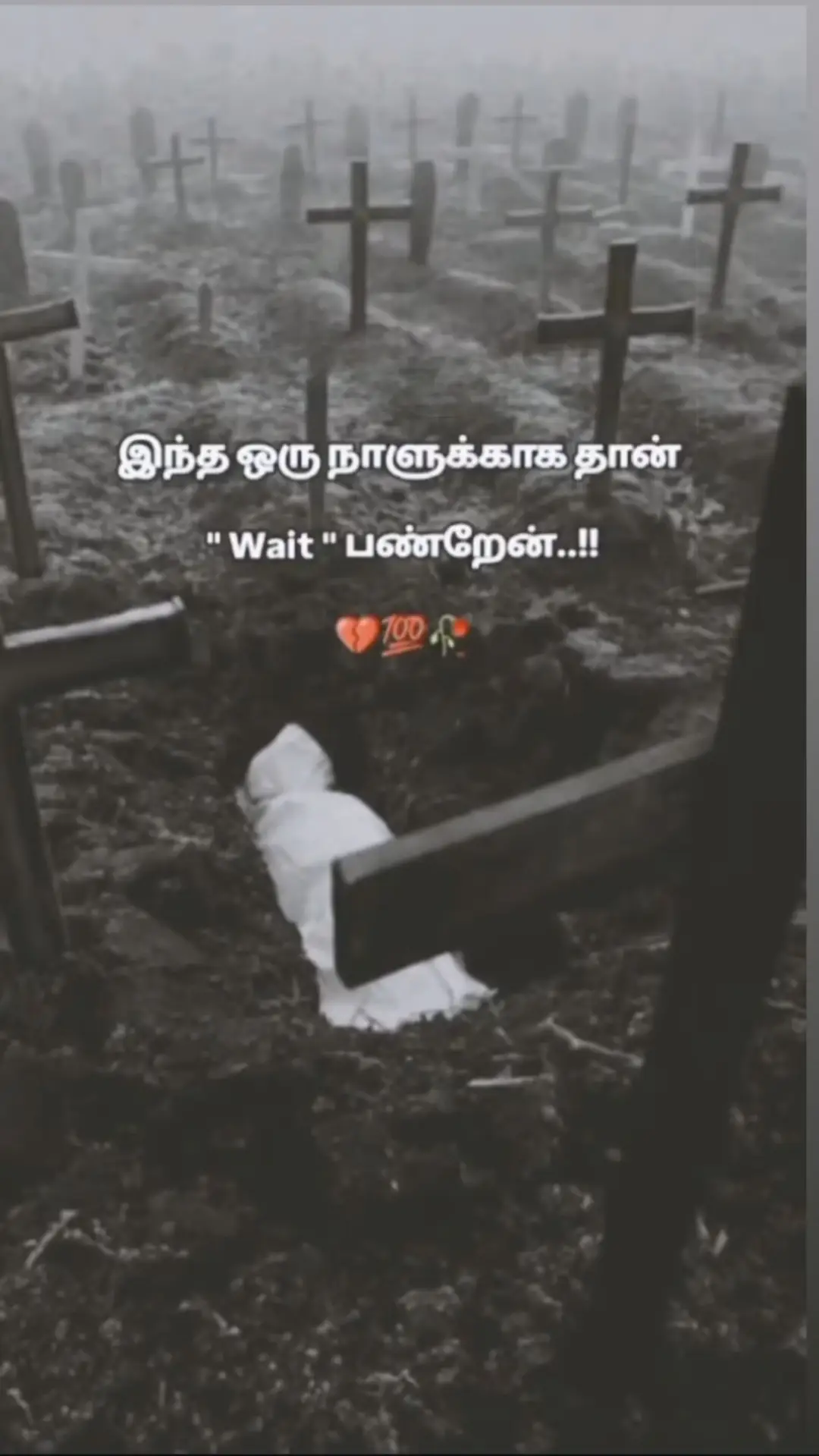 #waiting_for_my_death⚰️😭😭😭😭😭😭😭😭😭😭😭😭😭😭 #songlyrics #⚰️💔🥃🥀 #⏳🖤 #🕘🕘🕘🕘🌙🌙🌙 #death #comment_me #🥹💔 #😭😭😭😭😭😭💔💔💔💔 #tamilsong #tamilmems #tamil_status #😩😩😩😩😩 #sadvibes🥀 #waiting #🥺🧎‍♀️🛐 #😭😭😭😭😭😭😭😭😭😭 #😪😪💔💔😭😭 #😴😴😴😴😴😴 #sad_life_💔🥀 #🖤🥀🥺💔🖤🥀🥺 #fffffffffffyyyyyyyyyyypppppppppppp #✨✨✨✨✨✨✨✨✨✨✨✨ #ffypシ 
