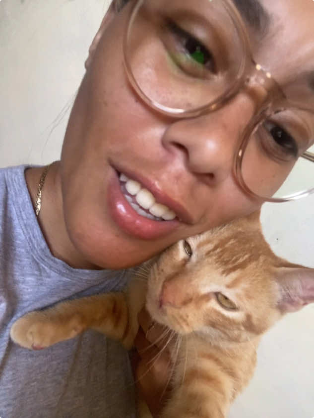 En qué momento se durmió 🤣 #cats #fypシ #parati 