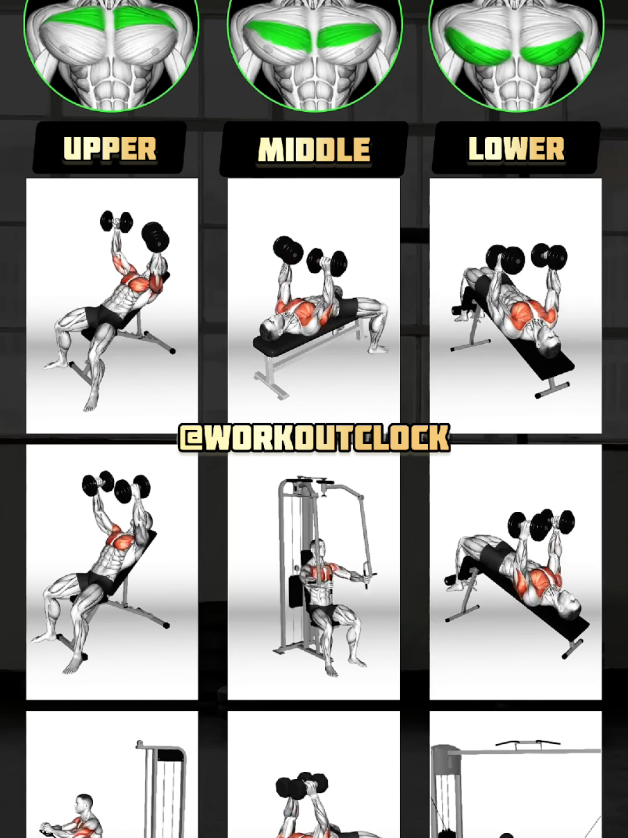 Best Dumbbell Chest Exercises | Upper, Middle & Lower Chest Unlock your full chest potential with these 9 powerful dumbbell exercises! This video covers all areas of the chest: upper, middle, and lower – helping you sculpt a well-balanced, aesthetic physique. Whether you're training at home or in the gym, these dumbbell moves are all you need to grow your chest muscles effectively. No machines, no fancy equipment – just dumbbells and proper form. Add these to your push day and feel the burn in every rep! Which part hits you the hardest – upper, middle, or lower? Comment below! #dumbbellchest #chestworkout #upperchest #lowerchest #middlechest #dumbbellexercises #homeworkout #pushday #bodybuilding #gymmotivation #fitnessreels #aestheticphysique #dumbbellworkout #workoutvideo #chestday 