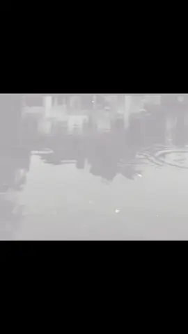 #tiktok #viralvideo #viralvideo #foryoupage #باسم_الكربلائي #foryoupage #باسم_الكربلائي_رادود_ما_له_مثيل #fypage #viral #اعادة_النشر🔃 